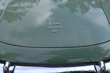 Chrome letter on XKE trunk lid