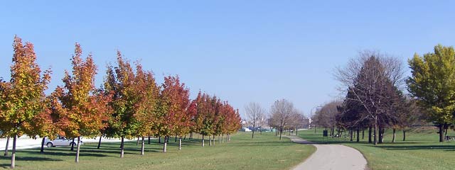 Fall trees, blue sky at Edgewater Park