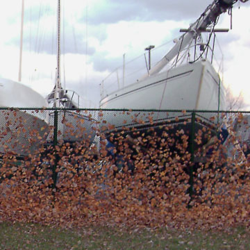 Leaves blown up against fence at Edgewater Marina