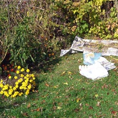 Grass with a few newspapers laid down on it