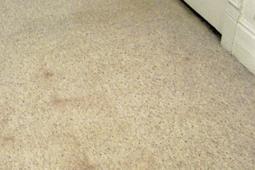 Carpet showing brown water stains
