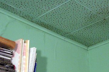 Wrinkled wallpaper and stained ceiling tiles show water damage