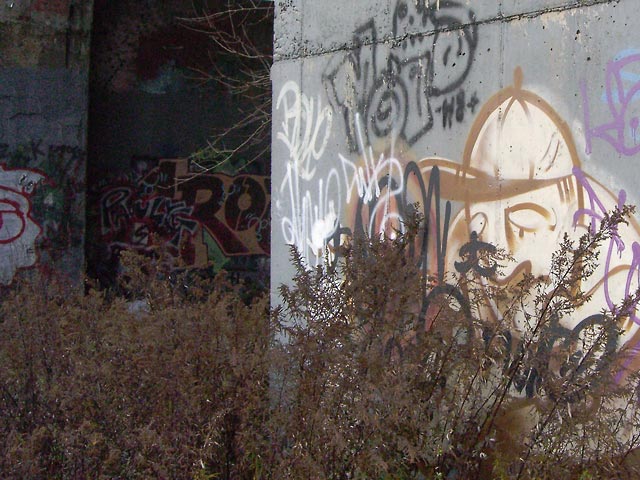 Graffiti on bridge pier in Flats