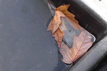 Pocket of ice with dry leaf frozen inside