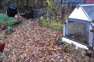 Garden site covered with leaves