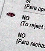 Detail of election ballot