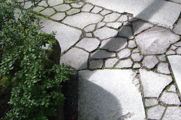 Rocks and bushes in Japanese Garden