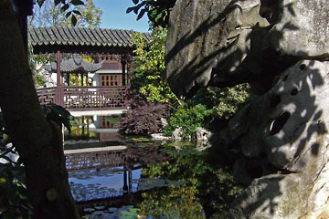View of rock, trees, water in Chinese Garden