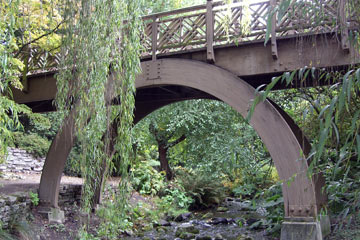 High arched curve of bridge support in Portland's Rhododendron Garden