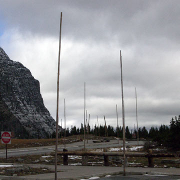 Tall wooden poles around the parking lot