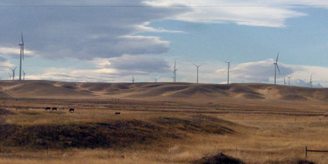 About a dozen wind turbines on a ridge over low hills