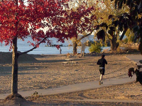 Runner on path near beach