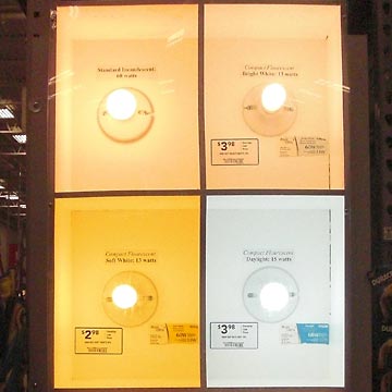 Display of different kinds of light bulbs