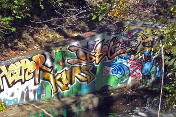 Colorful graffiti among trees