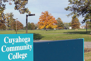 Bright gold tree on Tri-C campus