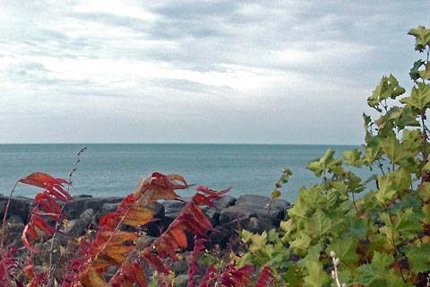 Looking NW across Lake Erie