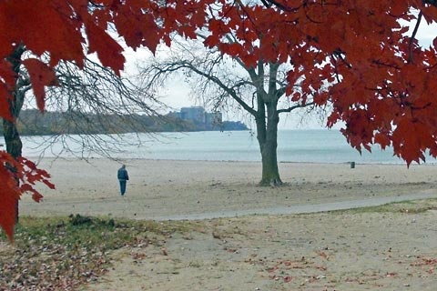 Edgewater beach framed by red leaves