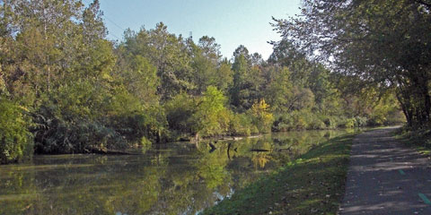 View looking south along the canal and towpath trail