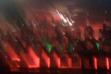 Bottles of booze on the barback at Happy Dog