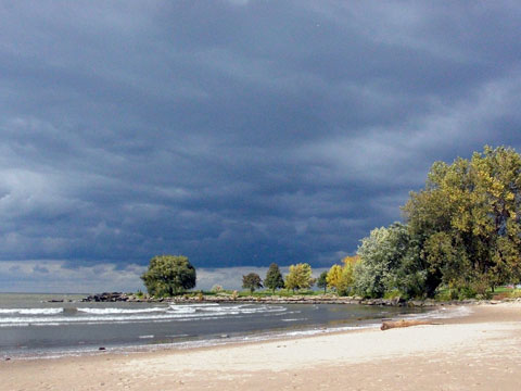 Dark clouds, waves and trees