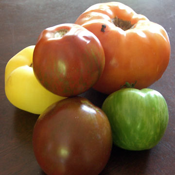 Five tomatoes of various sizes and colors
