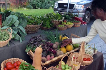 Fresh vegetables on display at market