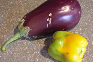Eggplant and yellow pepper on kitchen counter