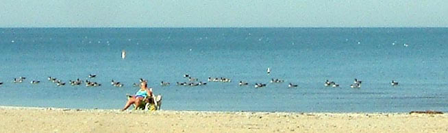 Sand and blue water at Edgewater Beach