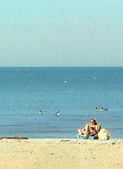 Sunbather on beach