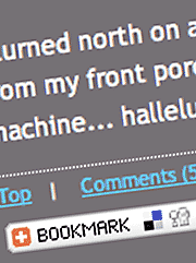 Detail of screenshot showing Comments and Bookmarking widgit
