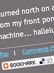 Site additions = added value? - September 24, 2007 Detail of screenshot showing Comments and Bookmarking widgit