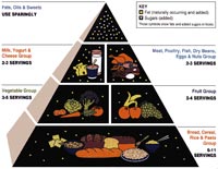 FDA food pyramid - old